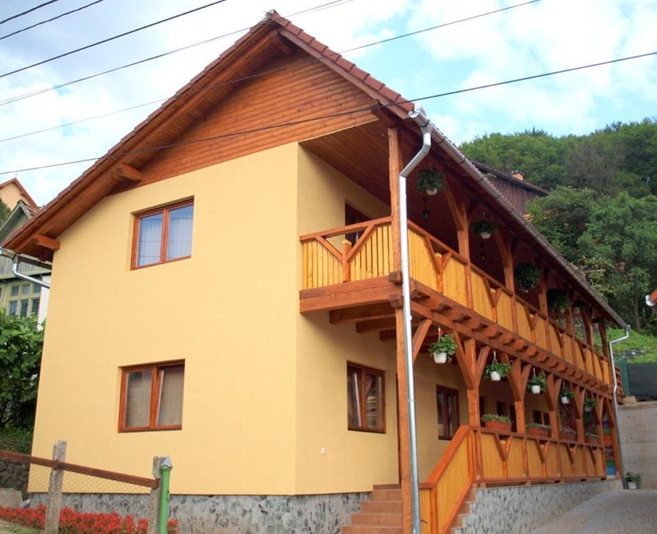 Pensiunea Elisabeta Sovata Exterior photo
